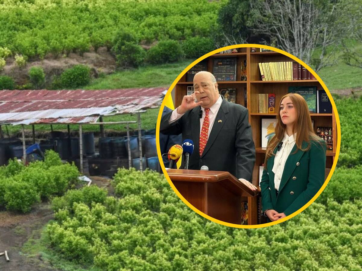 ¿Perderá Colombia la certificación antidrogas? Congresistas cuestionan estrategia del Gobierno