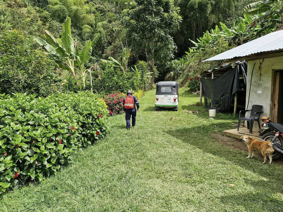 Varias personas resultaron afectadas por ataque de abejas africanizadas en Marquetalia, Caldas