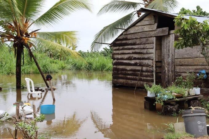 Las viviendas y cultivos agrícolas sufrieron graves afectaciones, quedaron bajo el agua y el lodo. Foto: cortesía.