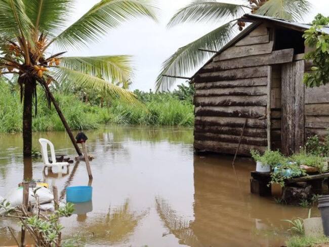 Las viviendas y cultivos agrícolas sufrieron graves afectaciones, quedaron bajo el agua y el lodo. Foto: cortesía.
