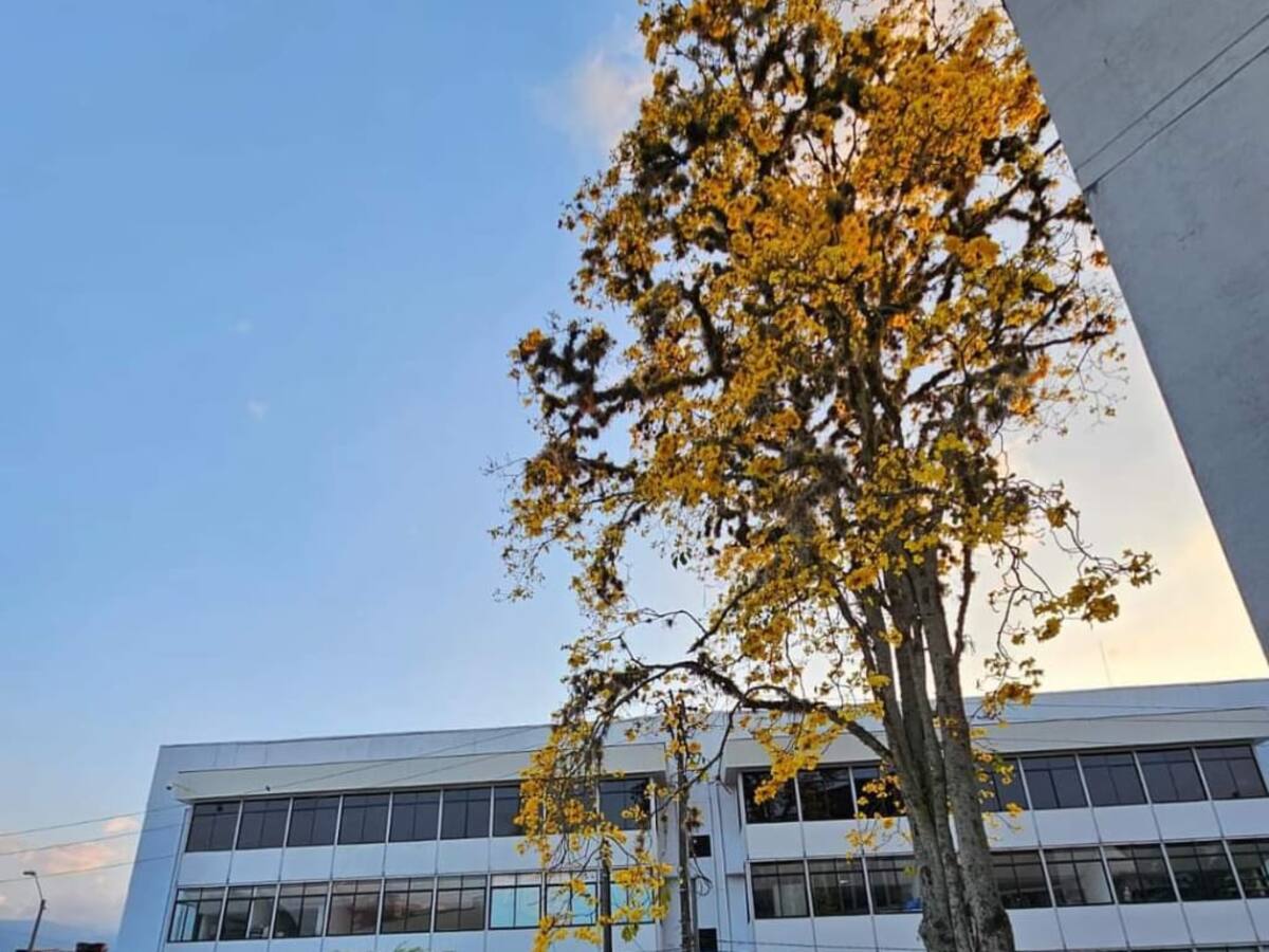 Viernes 2 de febrero, las noticias más importantes de Armenia y Quindío