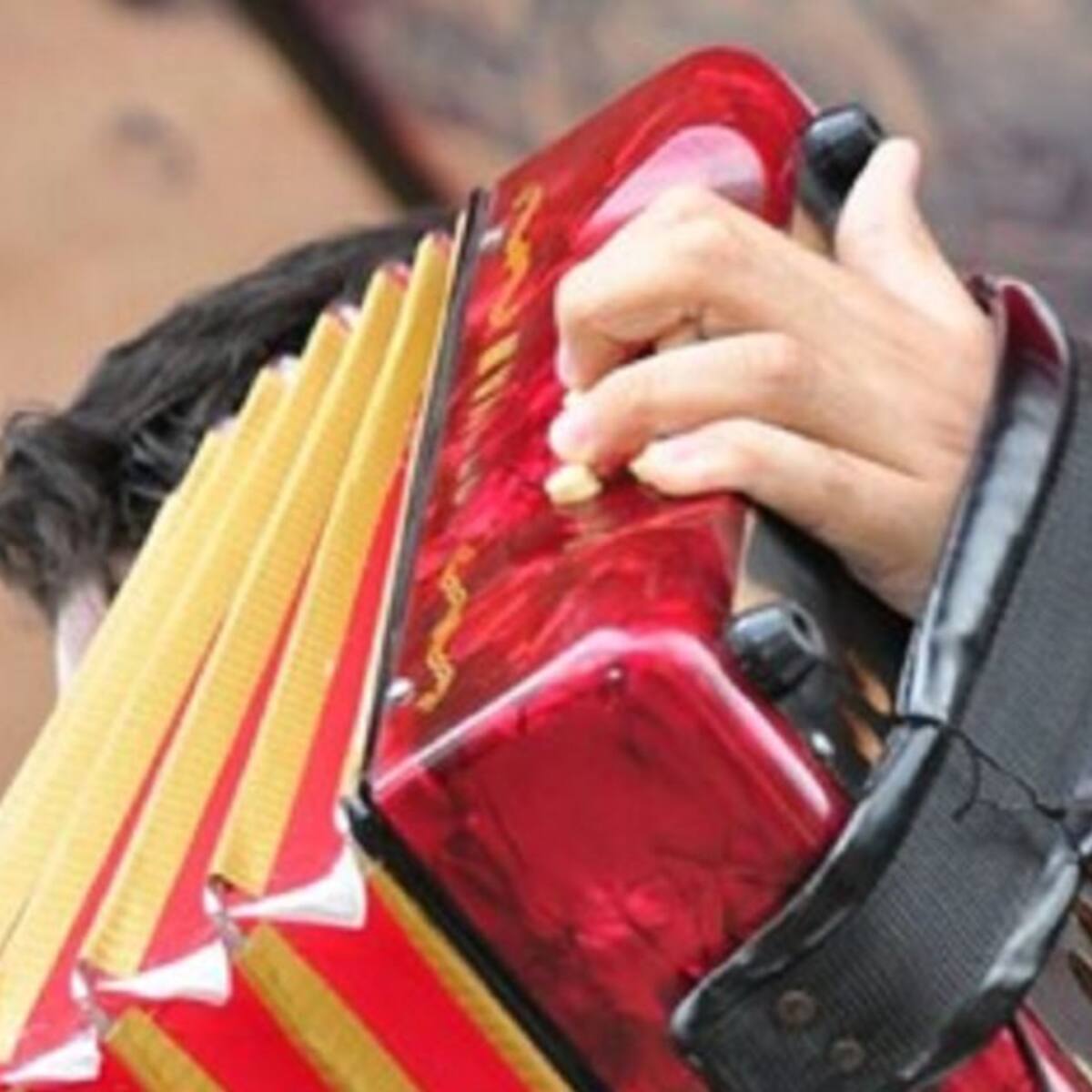 Cuenta regresiva para escoger los finalistas a Rey de Reyes en el Festival