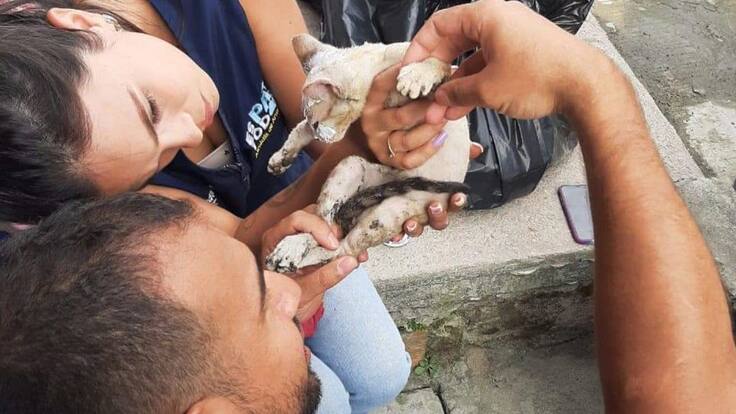 Informe incendio en Armenia