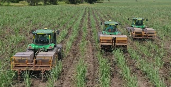 Sector agroindustrial de la Caña urge garantías de seguridad para proteger a los trabajadores y la libre movilidad en el norte del Cauca.