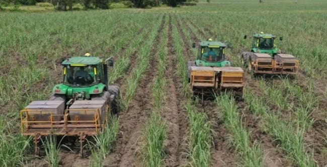Sector agroindustrial de la Caña urge garantías de seguridad para proteger a los trabajadores y la libre movilidad en el norte del Cauca.