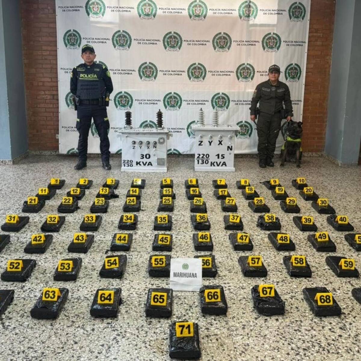 Ocultos en transformadores de energía fueron descubiertos más de 80 kilos de marihuana
