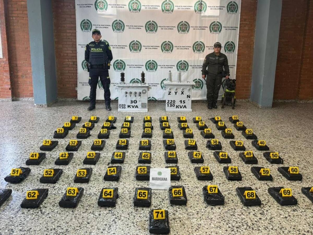 Ocultos en transformadores de energía fueron descubiertos más de 80 kilos de marihuana