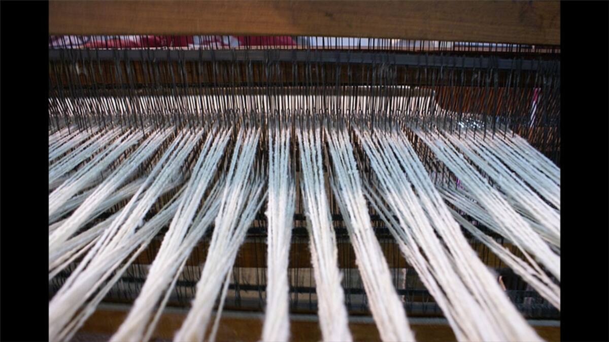 Alberto Valcarcel Maya  nos envió “la imagen de mi hija Kayla tras el parabán metálico de una parada de autobús en Beer Sheva”.