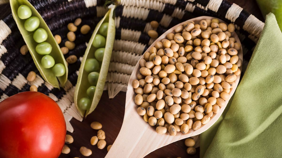 Fortalecer las cadenas productivas busca el gremio de los cereales y leguminosas