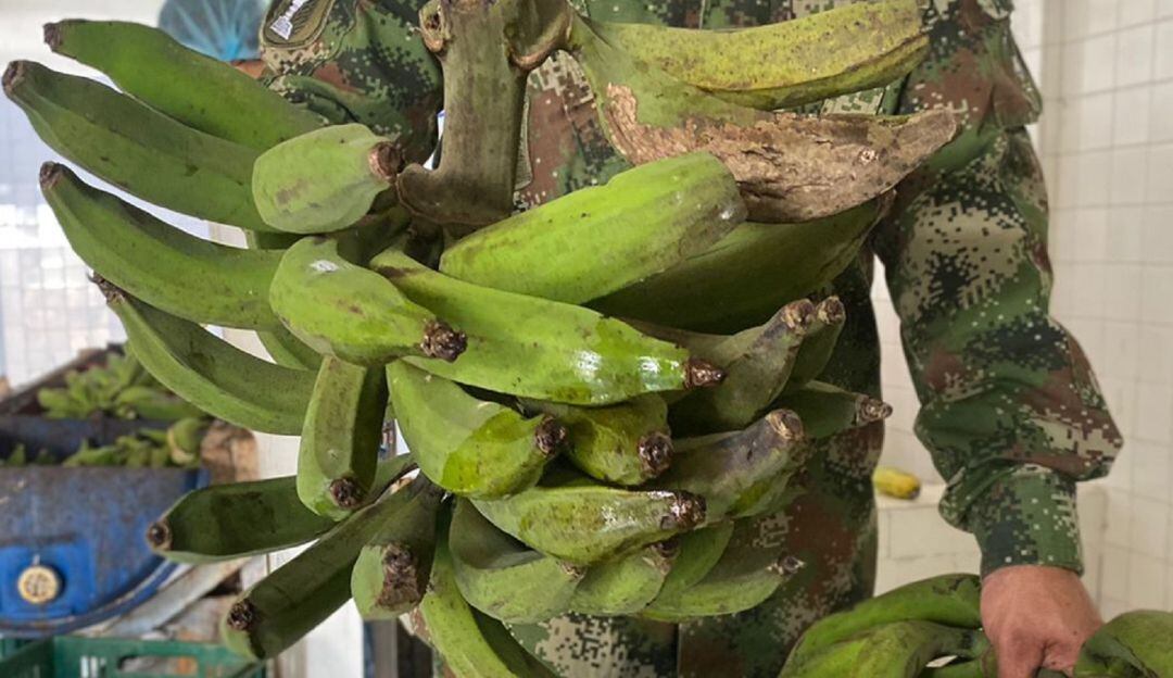 Se busca darle un valor agregado al Plátano que se perdía, por no tener la comercialización total por las malas vías de acceso.