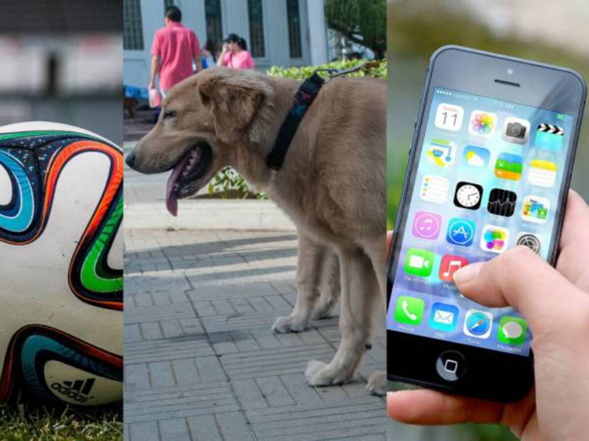 Productos tecnológicos, deportivos y mascotas ingresarán a la canasta familiar