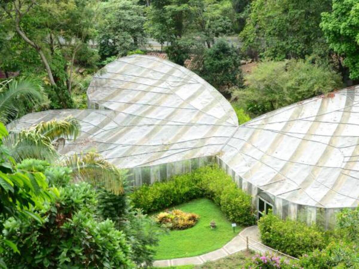 Gracias a la firma de la paz se incrementaron turistas extranjeros en Jardín Botánico del Quindío
