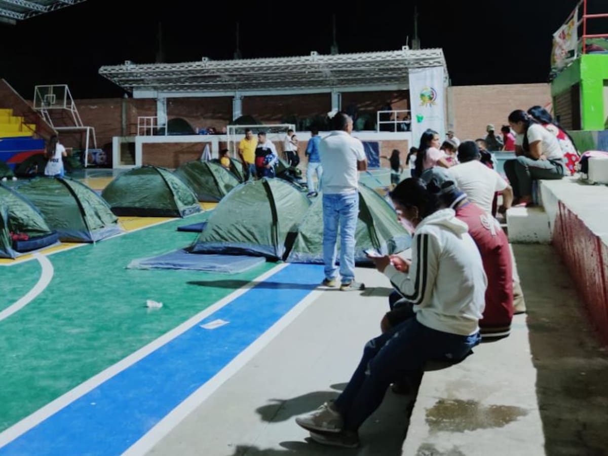Duros combates generan nuevos desplazamientos en Argelia, Cauca