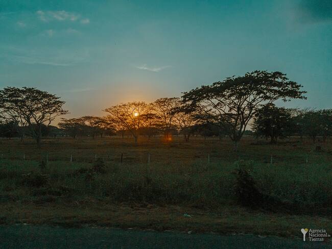 Campesinos han sido estafados con la promesa de entrega y titulación de tierras