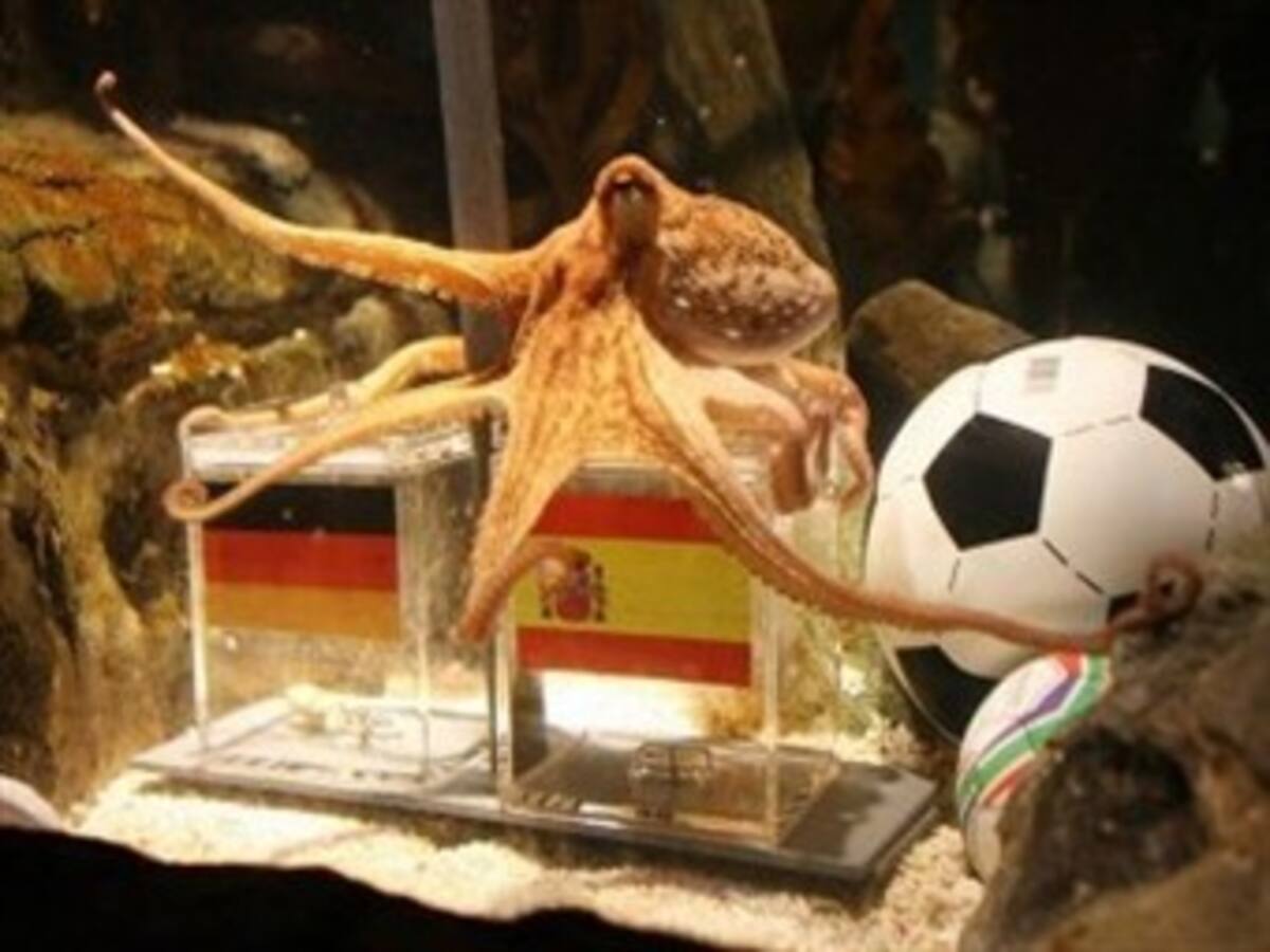 El pulpo Paul vence a Lineker con su predicción de la victoria de España ante Alemania