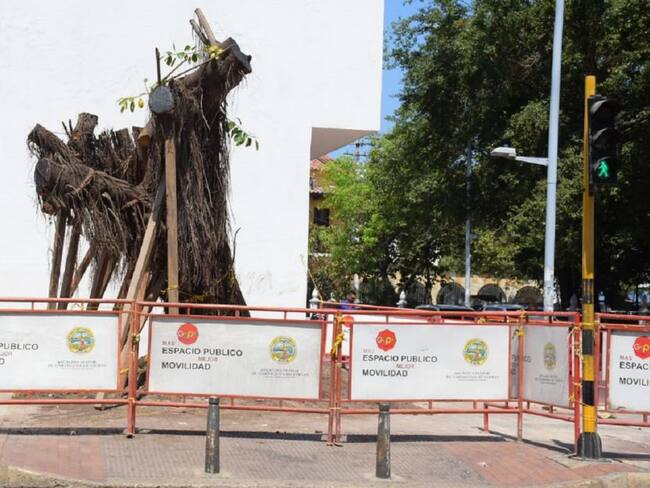En 6 meses estaría recuperado "Palito de caucho" de La Matuna en Cartagena