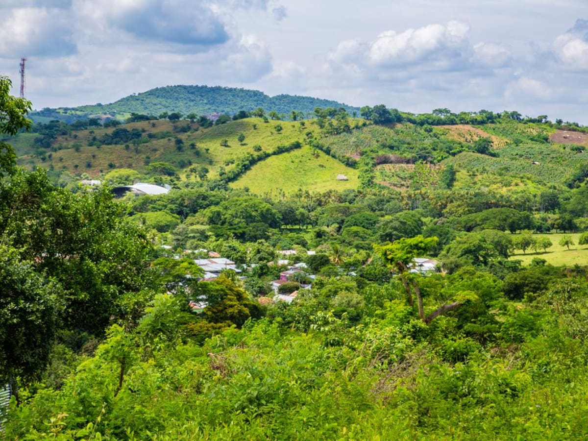Hallaron cuerpo sin vida en zona rural de San Jacinto, Bolívar