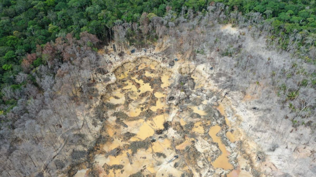 Defensoría alerta afectación a comunidades en Guainía por extracción de oro y coltán