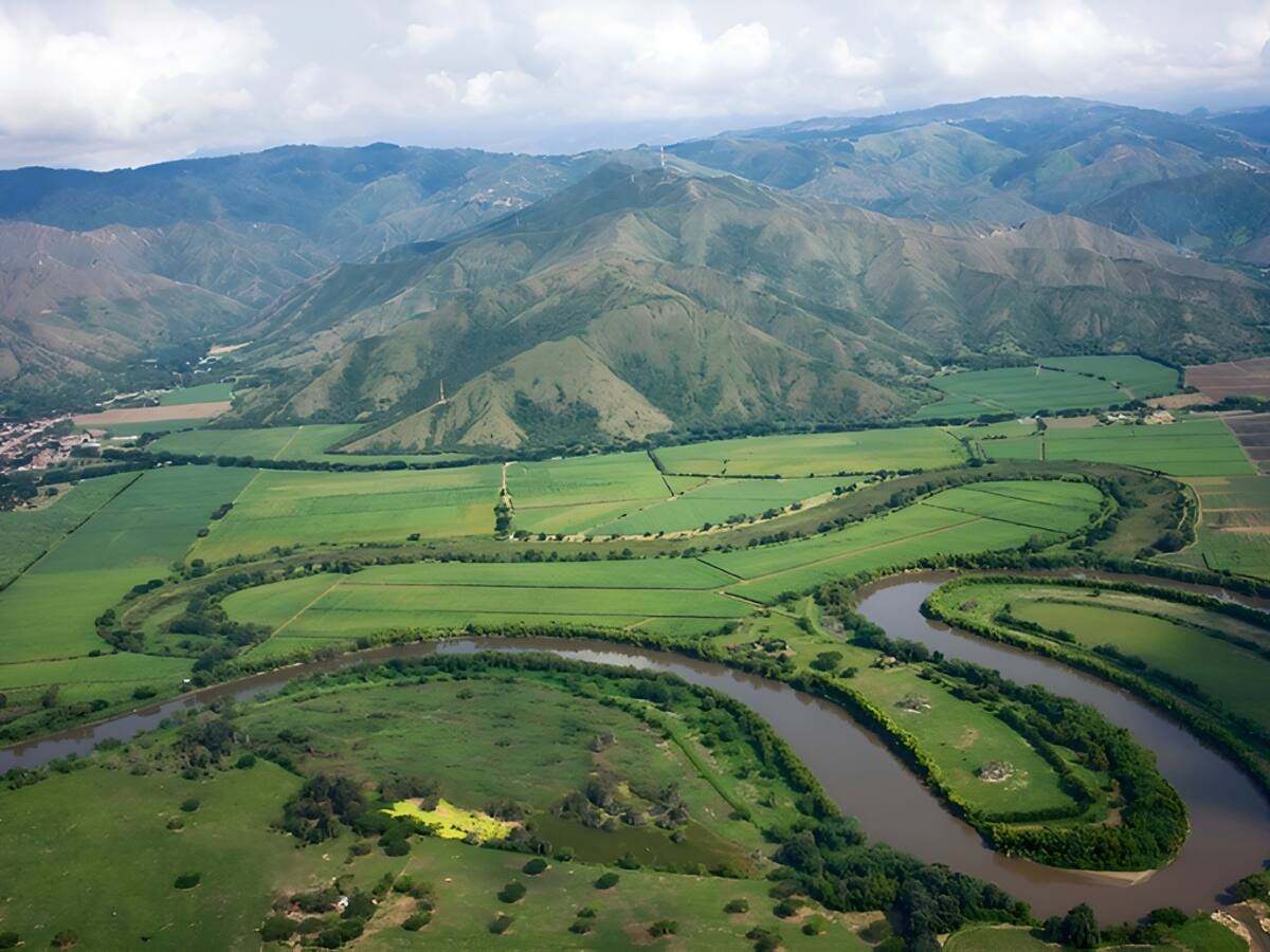 Cámara de Comercio de Cali, un aliado en el crecimiento económico de la región