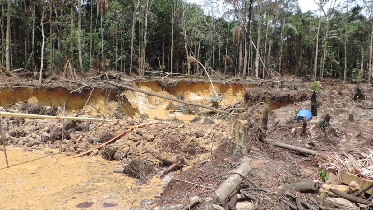 Procuraduría pide vigilancia para frenar ganadería en Parques Nacionales Naturales