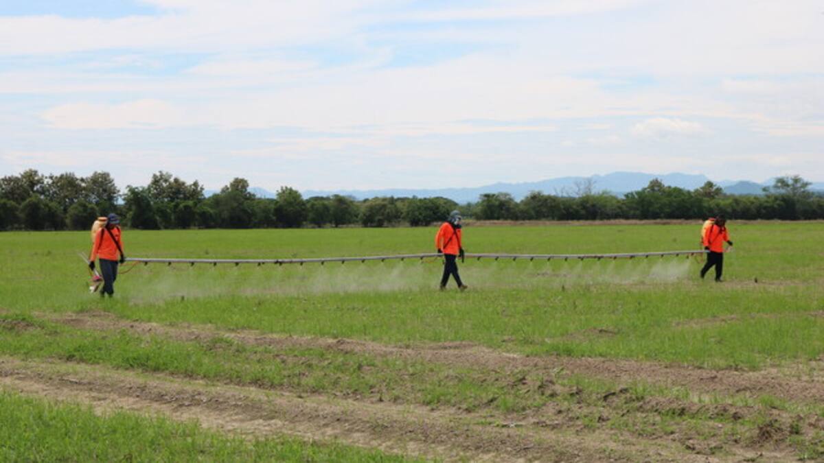 Gobierno firmaría esta semana el decreto para tumbar finalmente el uso del glifosato