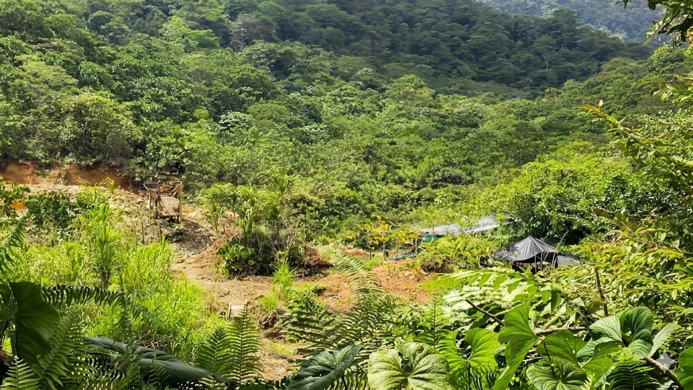 Fotos: Corporación Autónoma Regional del Valle del Cauca (CVC)