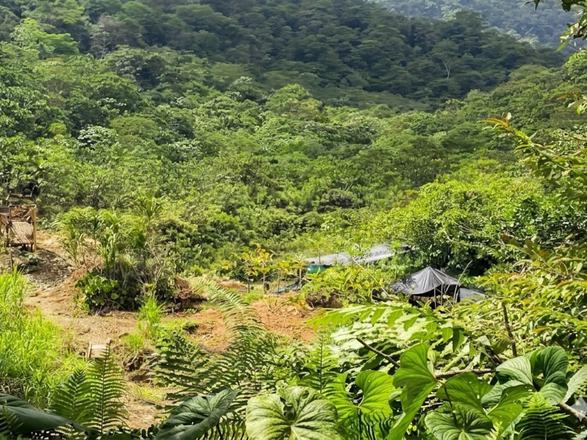 Ciudadanía denuncia posible minería ilegal en zona rural de Buenaventura