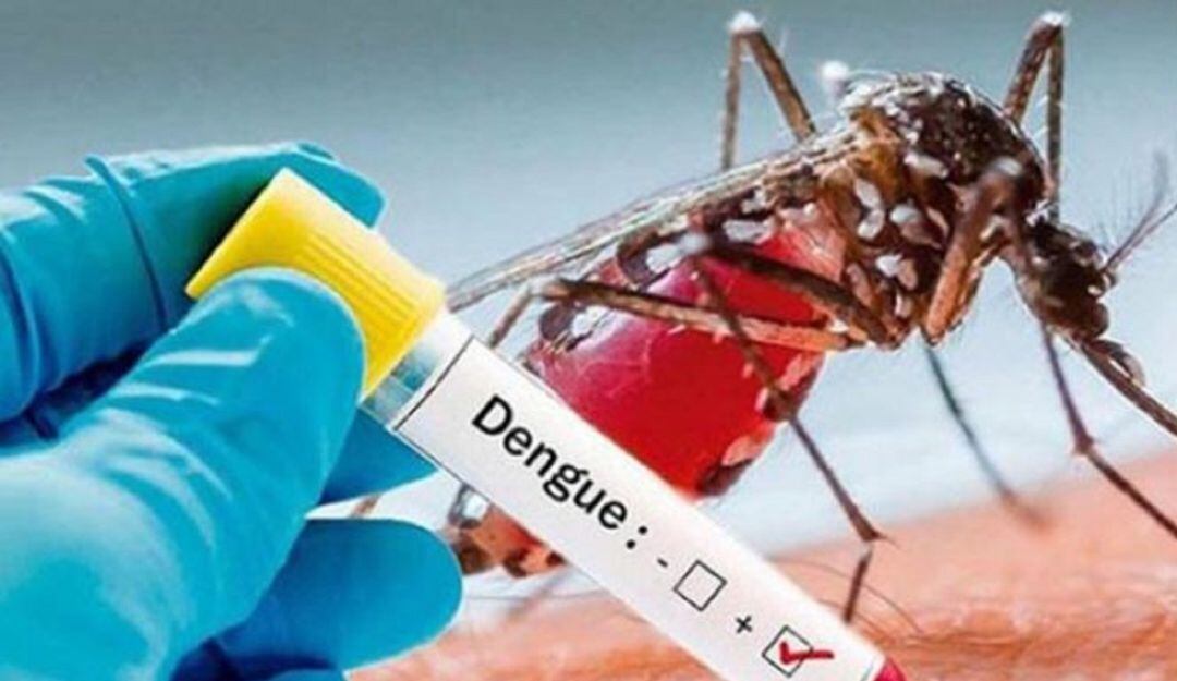 La secretaría de salud adelanta controles a 13 mil sumideros positivos con larva, que cada 15 días se intervienen.