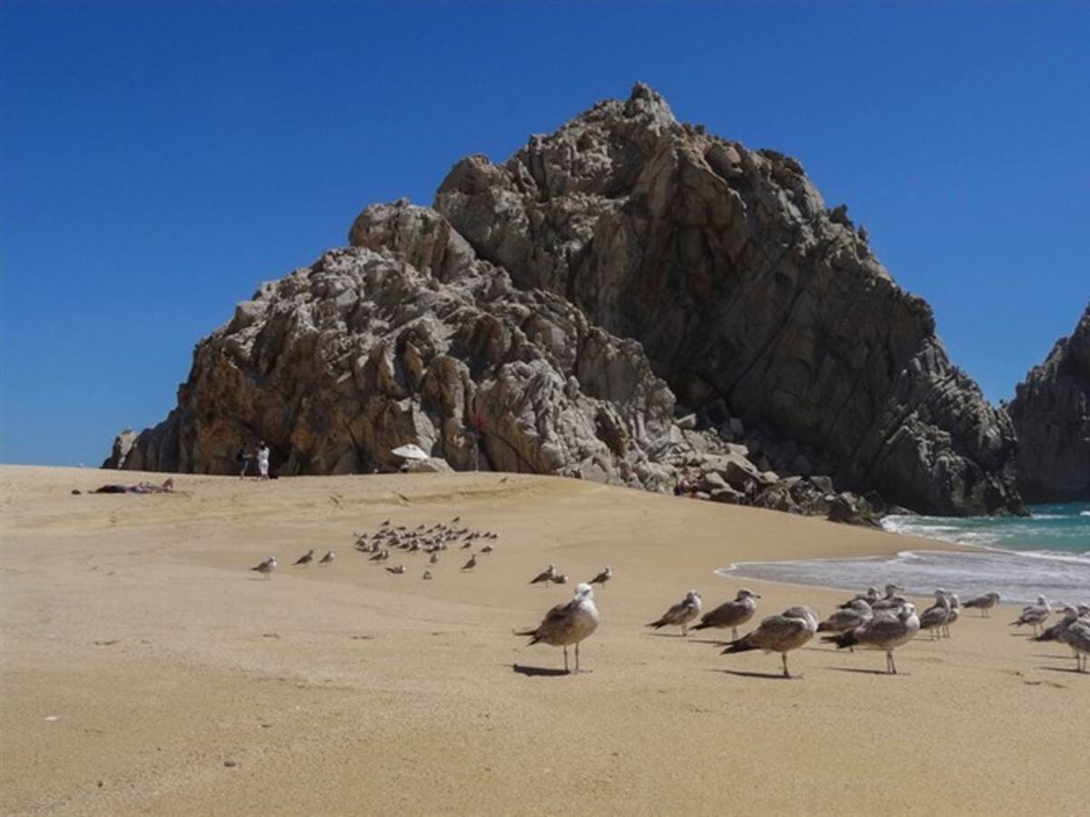 Denuncian accidente de tres jóvenes colombianos en playa de Chiapas, México