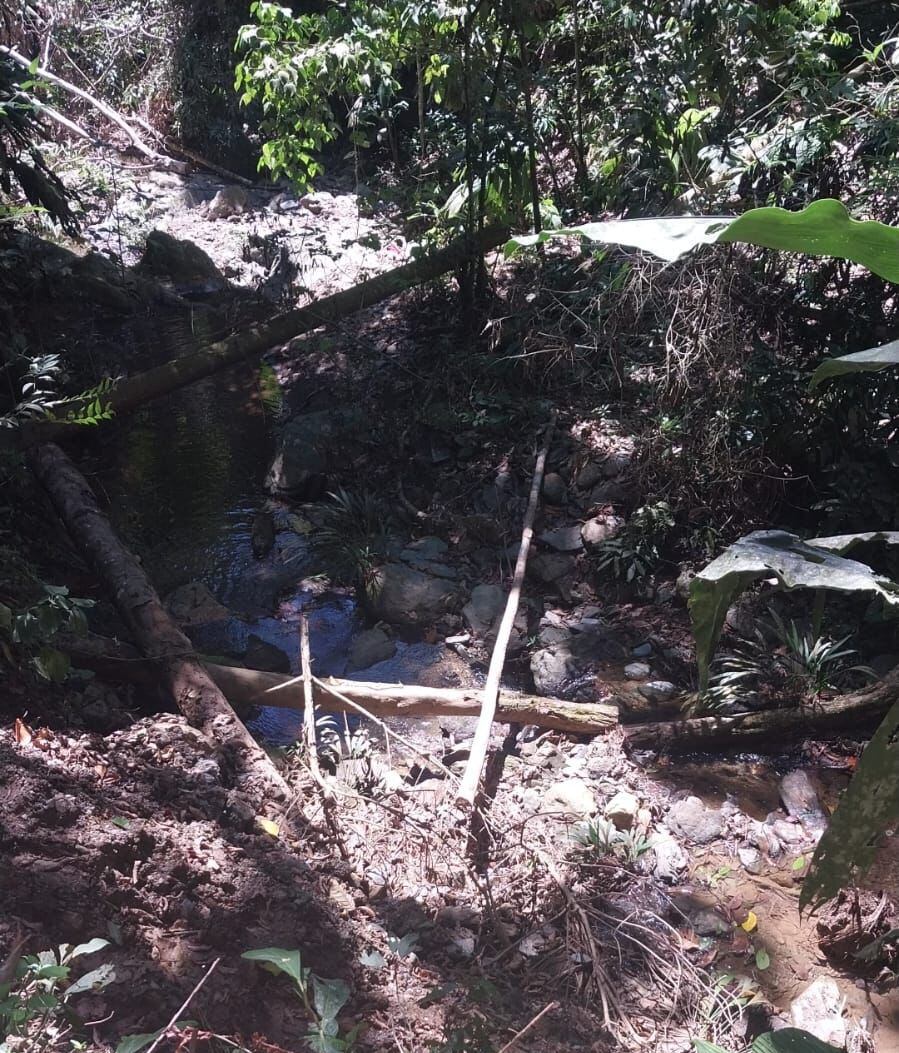 El yacimiento minero está ubicado en la población de Falan, Tolima