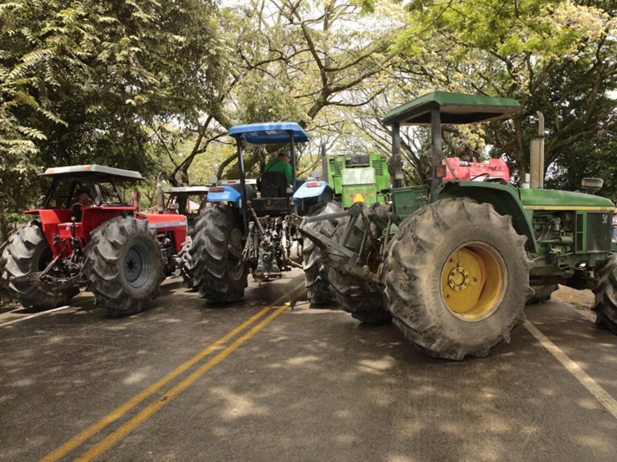 Gremio comercial del Huila, rechaza paro de arroceros
