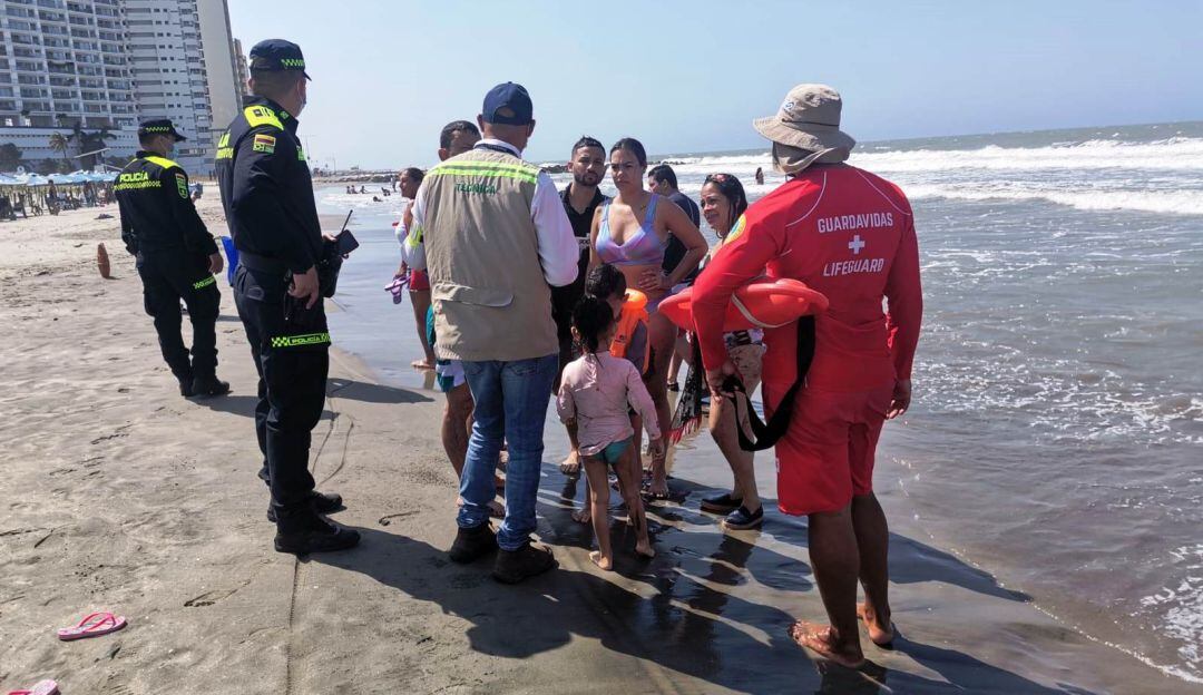 Para evitar resultar afectados por la picadura de este animal que abunda en estos días en algunos sectores de playas