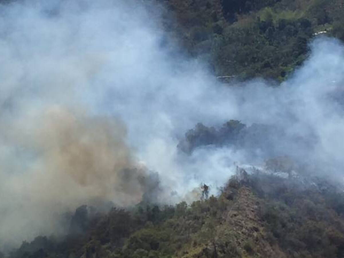 Hay que denunciar a los pirómanos que provocan el 90% de incendios: ministro ambiente