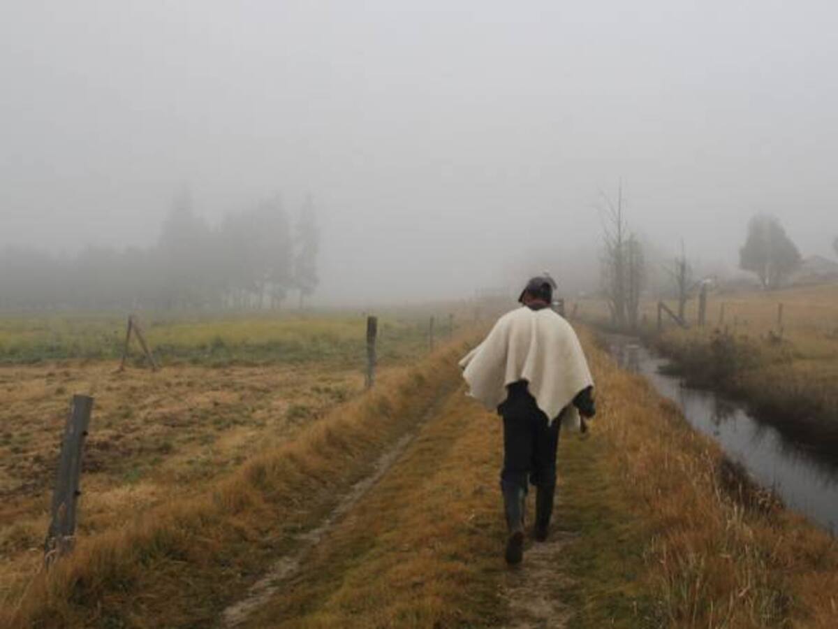 Se están adelantando las heladas por el fenómeno de El Niño