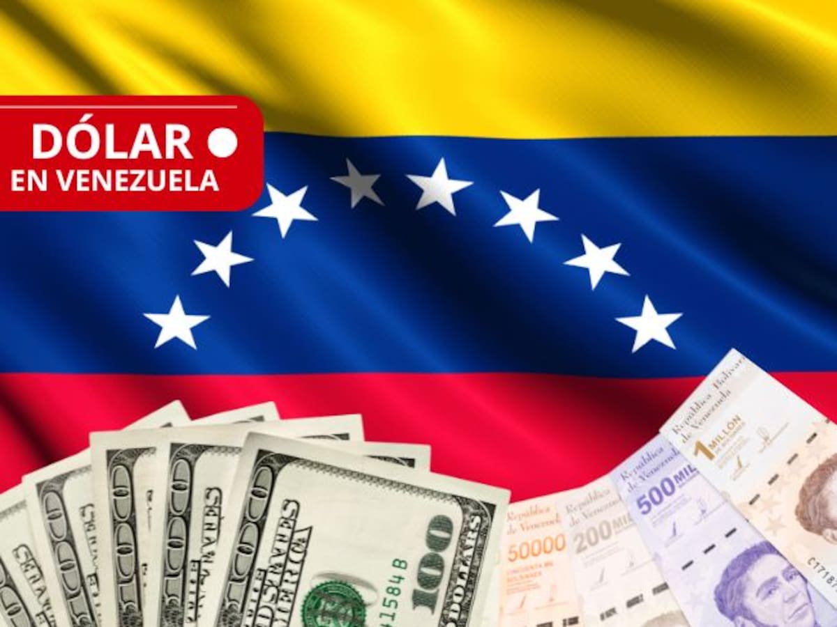 Precio del dólar en Venezuela HOY 11 de septiembre: esta es la cifra oficial que reporta el BCV