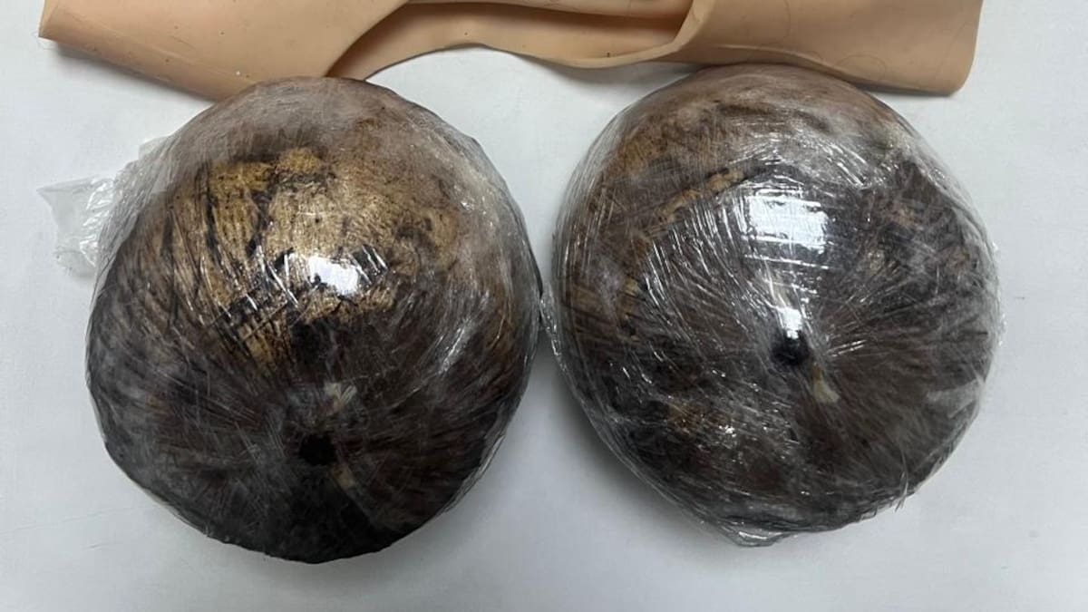 Capturan a mujer que llevaba base de coca en prótesis mamarias falsas en vías del Valle