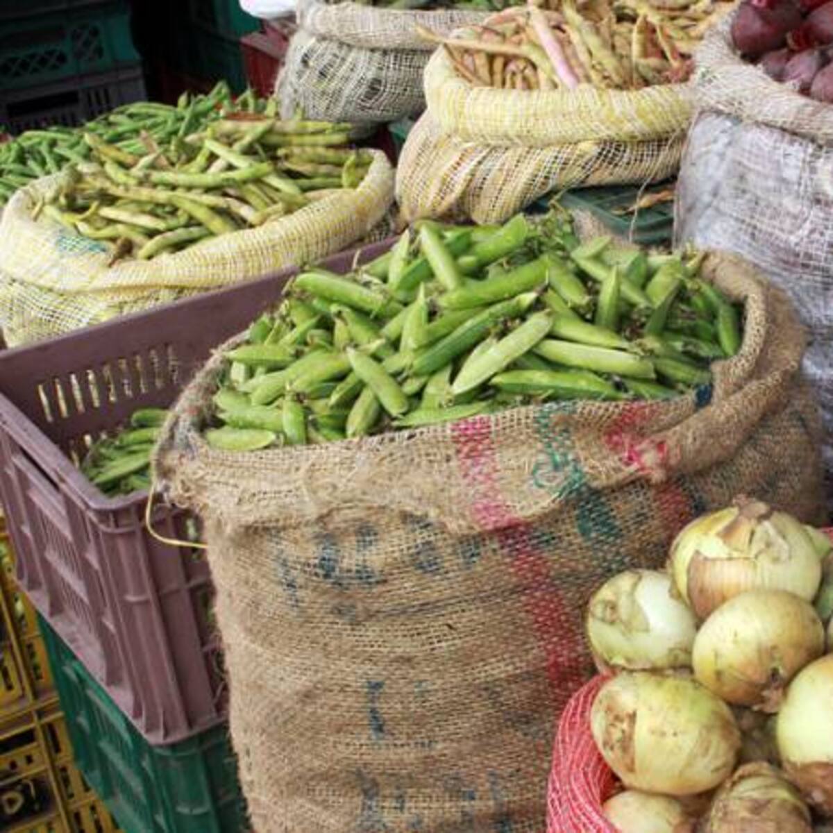 Contrabando está quebrando a cultivadores de cebolla y papa de Boyacá