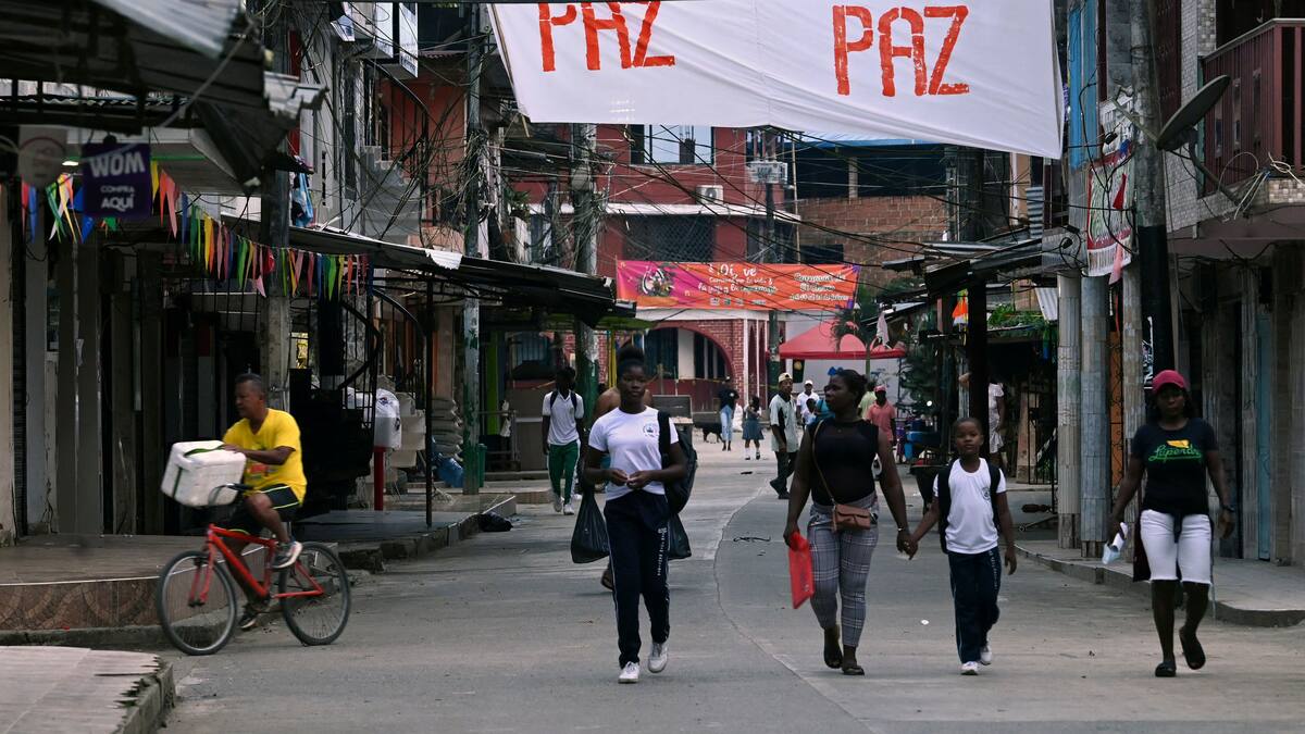 Gobierno reconoce nuevas áreas especiales de reincorporación colectiva a ex FARC