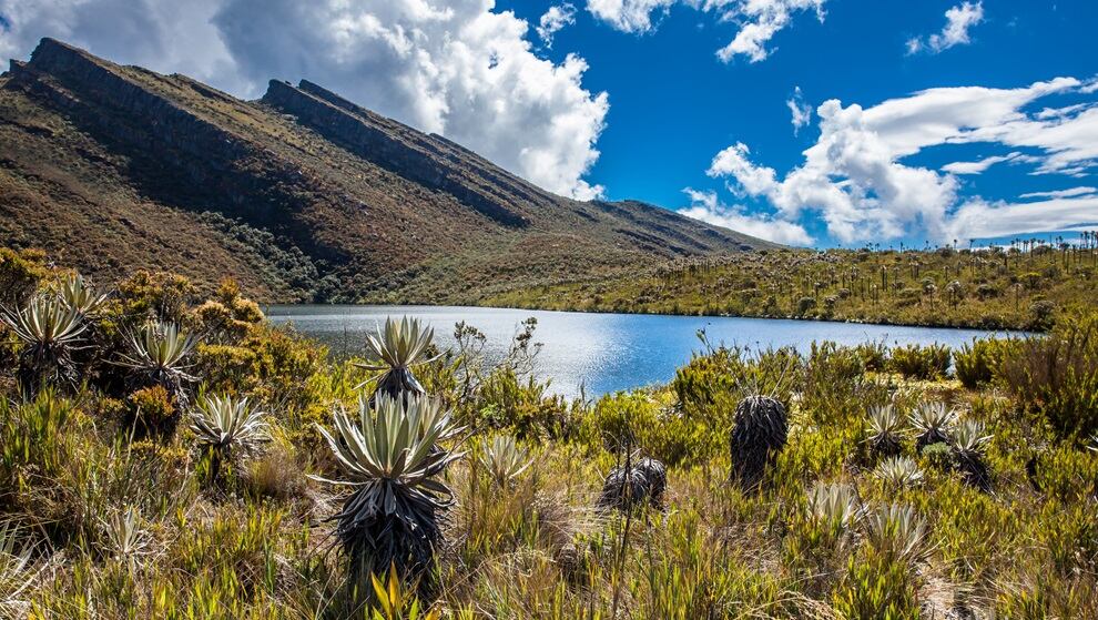 Beautiful landscape of Colombian Andean mountains showing paramo type vegetation in the department of Cundinamarca