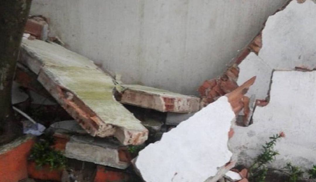 Imagen de referencia