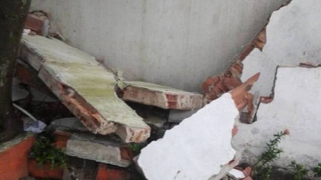 Imagen de referencia