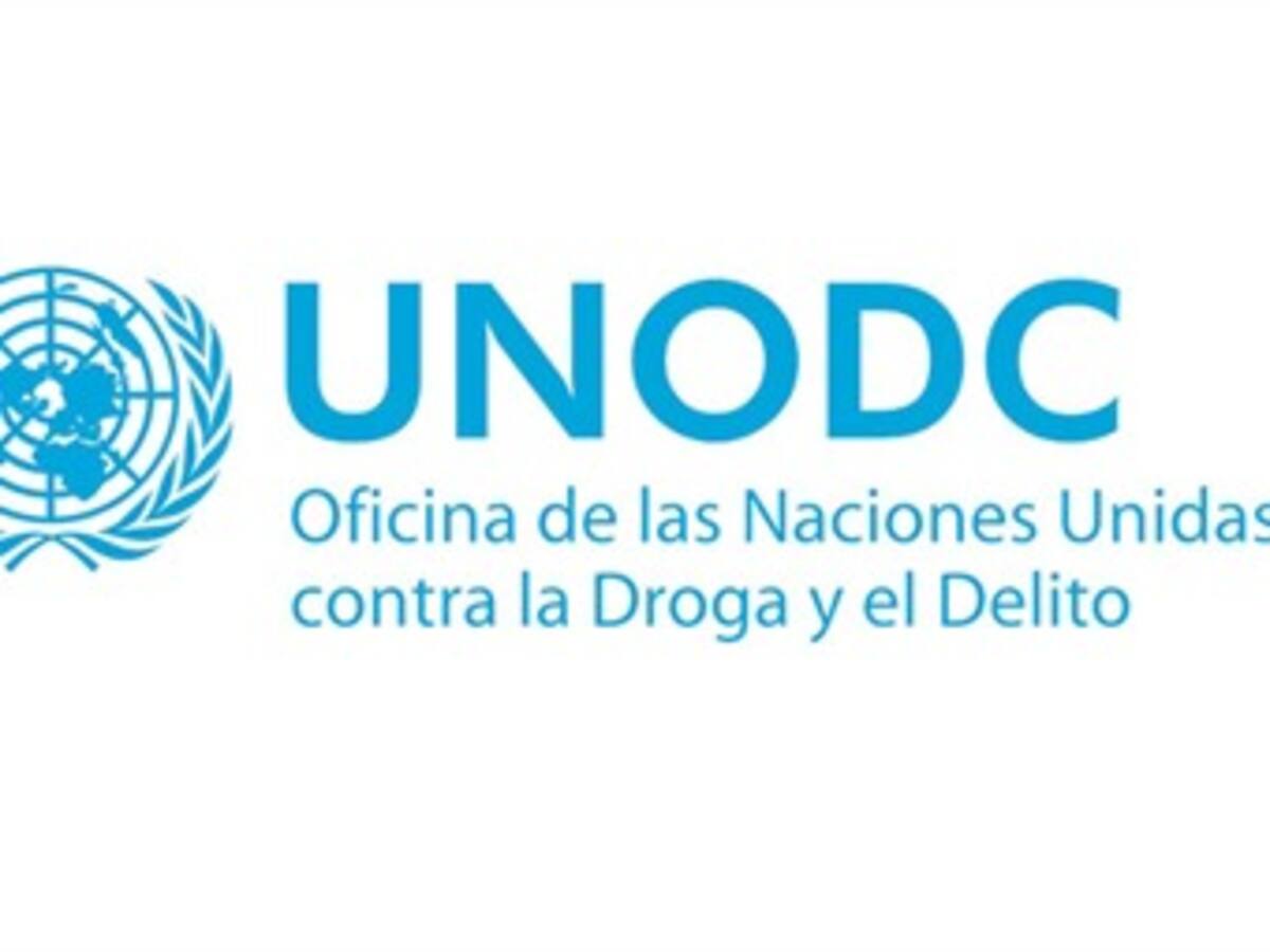 ONU presentará informe sobre cultivo de hoja de coca en Colombia