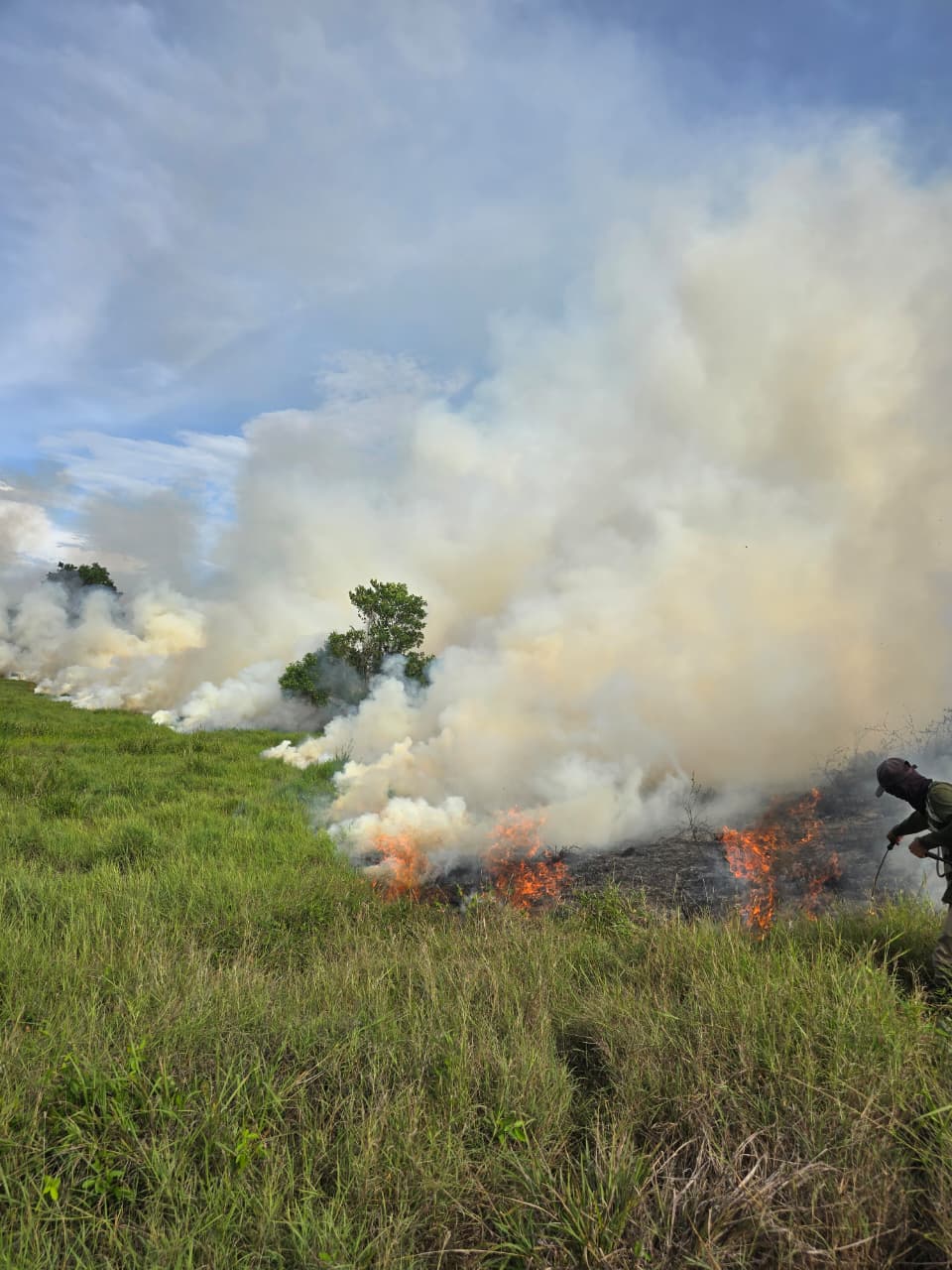 Incendio en la vereda Brisas, en La Dorada, Caldas. Foto: Cuerpo de bomberos de La Dorada.
