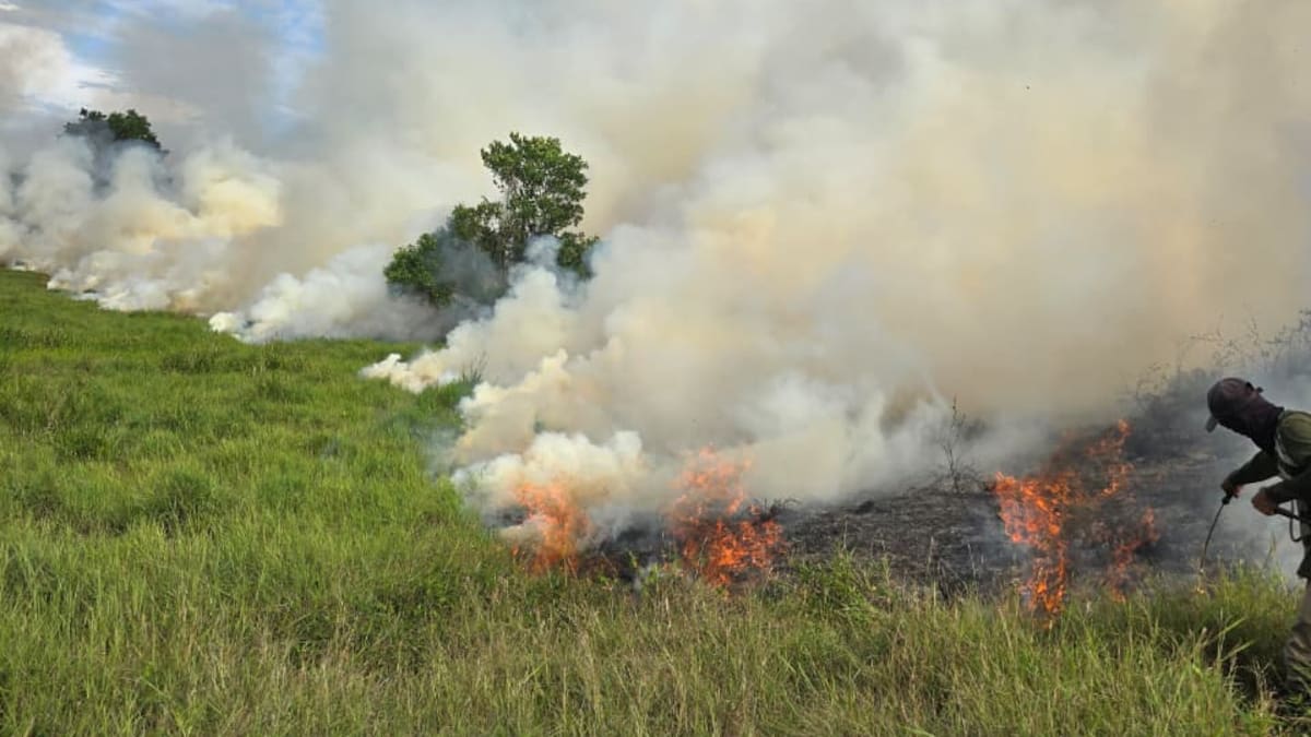 Cuatro incendios se registraron en Caldas el fin de semana por las altas temperaturas