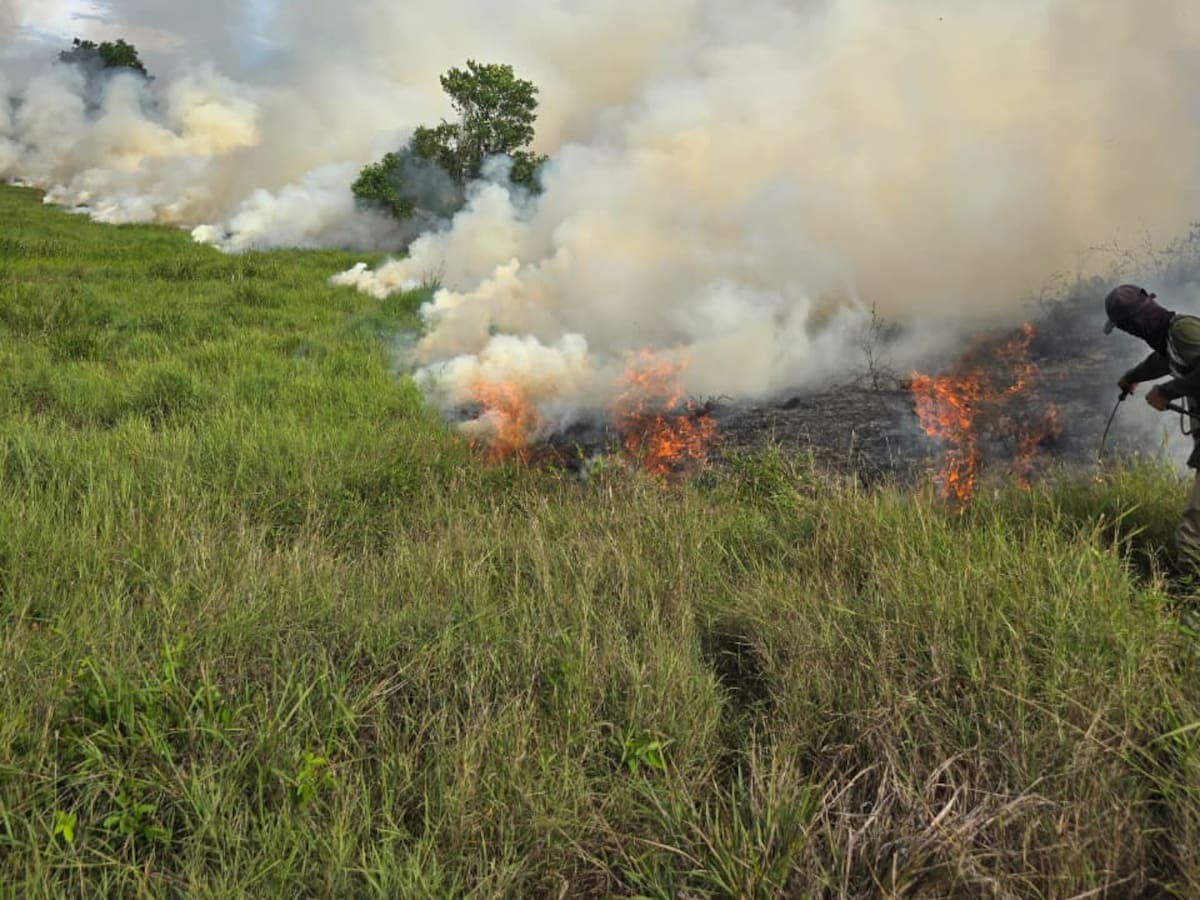 Cuatro incendios se registraron en Caldas el fin de semana por las altas temperaturas