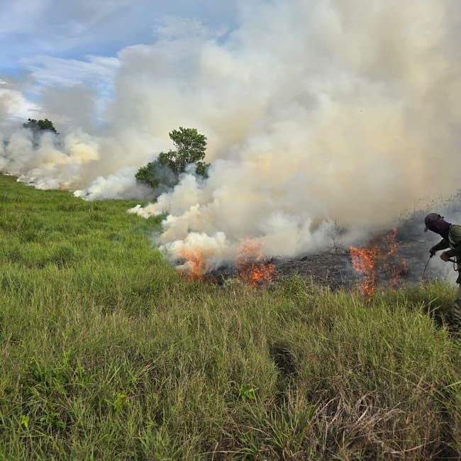 Incendio en la vereda Brisas, en La Dorada, Caldas. Foto: Cuerpo de bomberos de La Dorada.