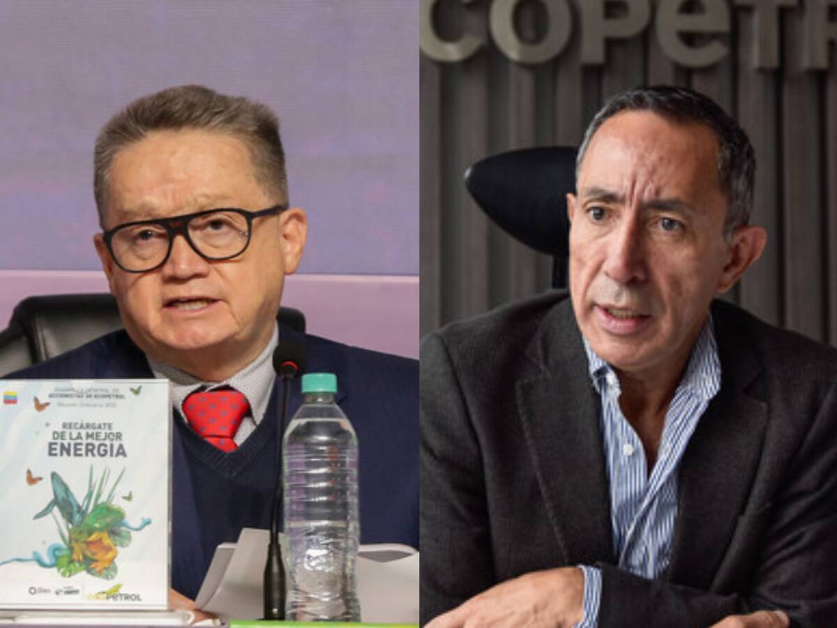 Supimos un mes después y se suspendió: García Realpe por millonario otrosí para medir impacto de Roa