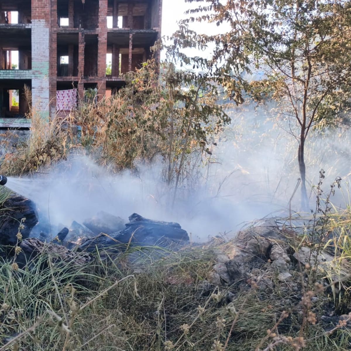 Huila registra incendios forestales en 22 municipios con 811 hectáreas afectadas