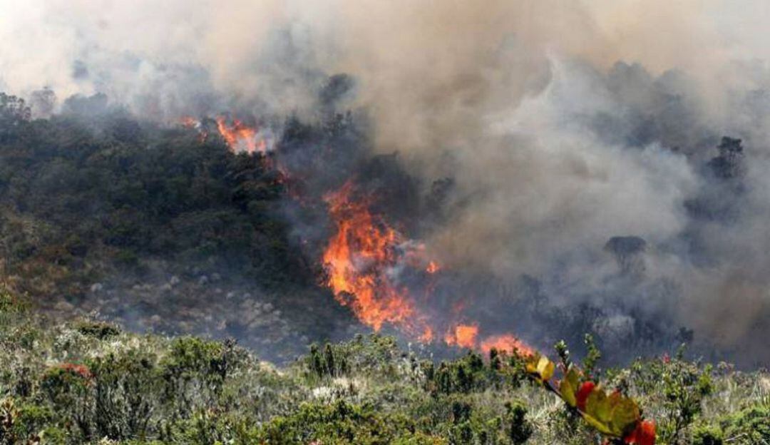 Incendios Forestales