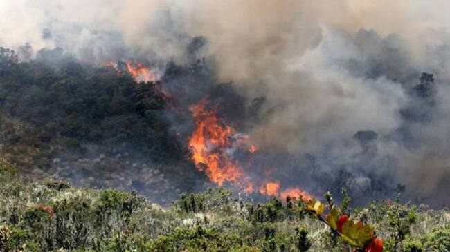 Incendios Forestales